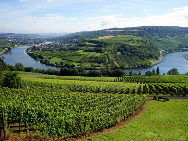 Moselle Valley